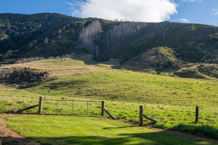 803 Manaroa Road Marlborough Sounds_52
