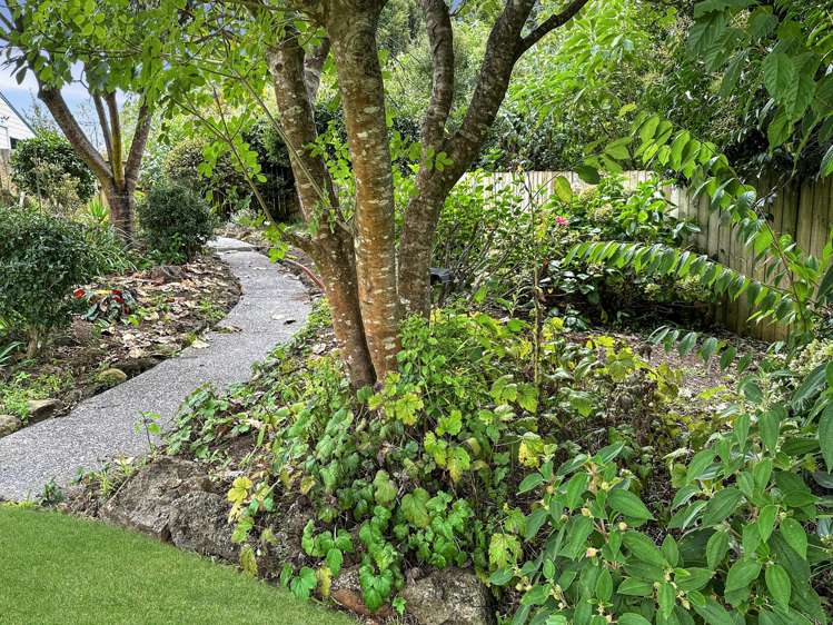 22a Lanark Road Kerikeri_7