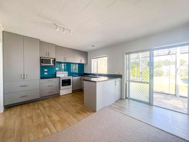 209 Kuranui Street Thames_2