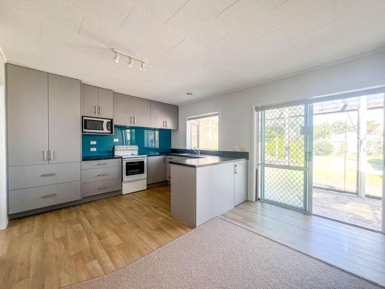 209 Kuranui Street Thames_2