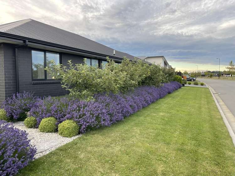 18 Merino Street Marshland_25