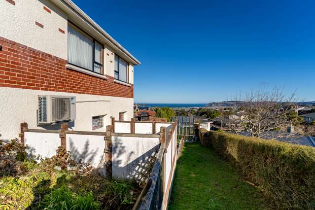 17 Scobie Road Waverley_4