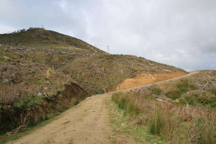 0n Makakaho Road Ngamatapouri_5