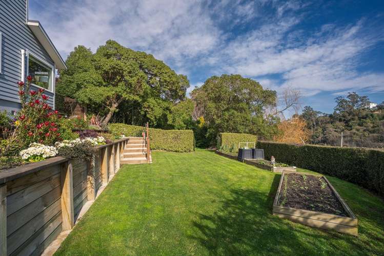 2 Leyden Terrace Andersons Bay_40