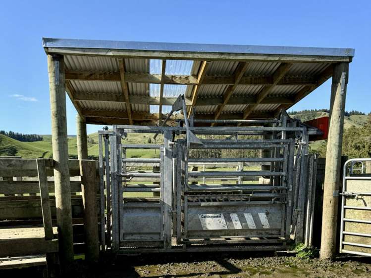 515 Ruanui Road Taihape_6