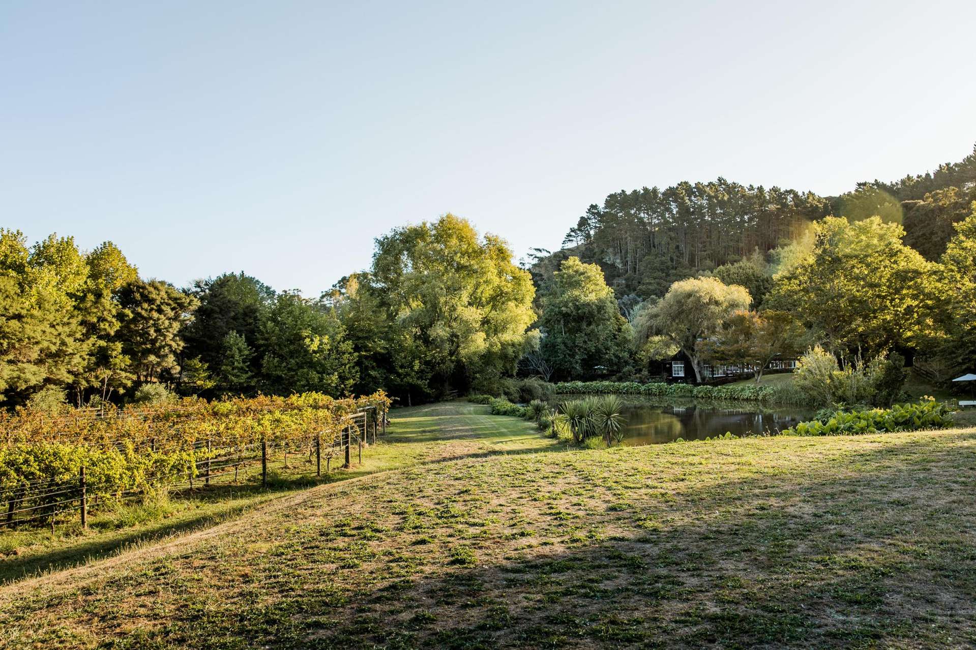 160A Twilight Road Clevedon_0
