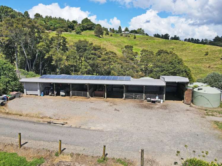 80A Wainui South Road Whakamarama_17