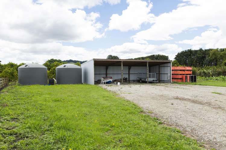 54 Bruce Road Ormond_13