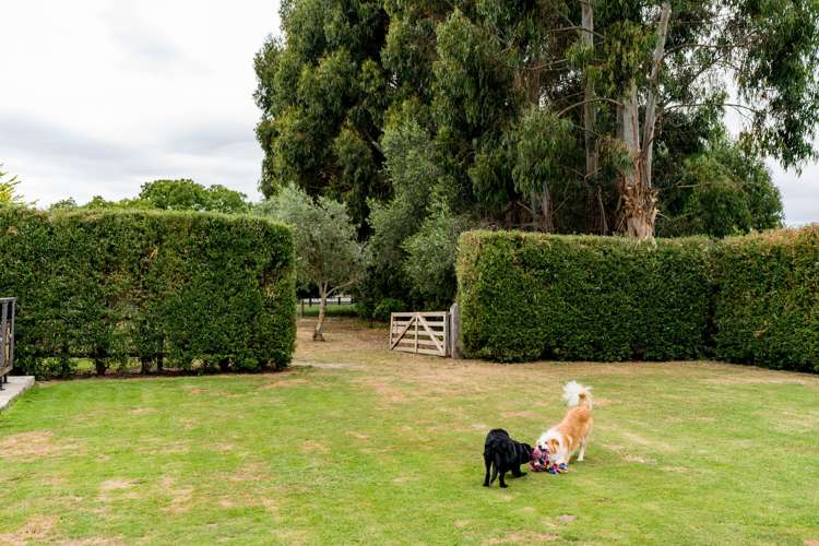 524 Allanton Road Outram_28