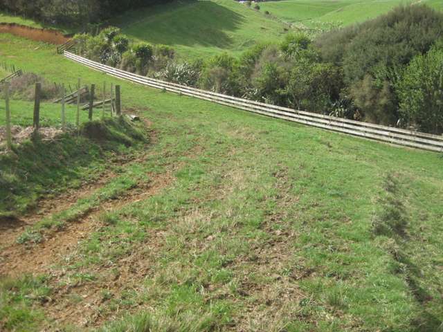 174 Morrison Road Pukekawa_4