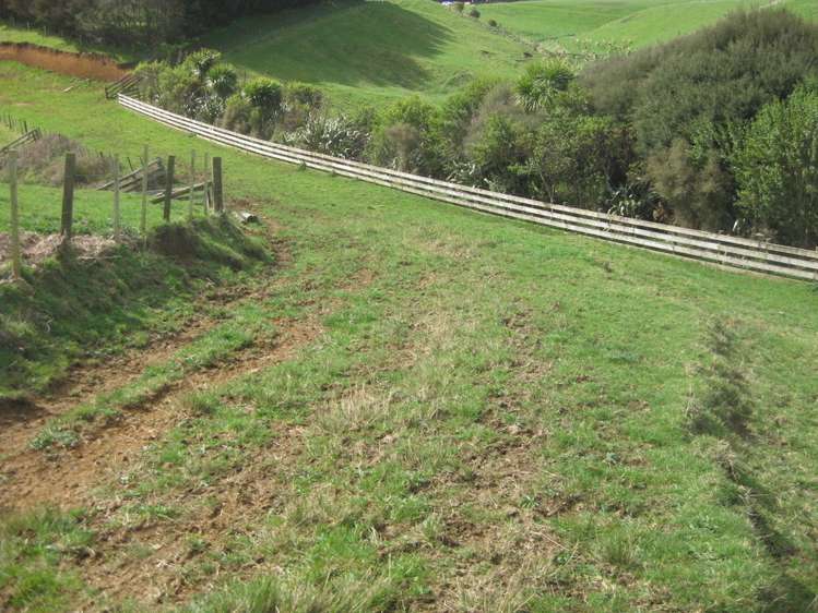 174 Morrison Road Pukekawa_4