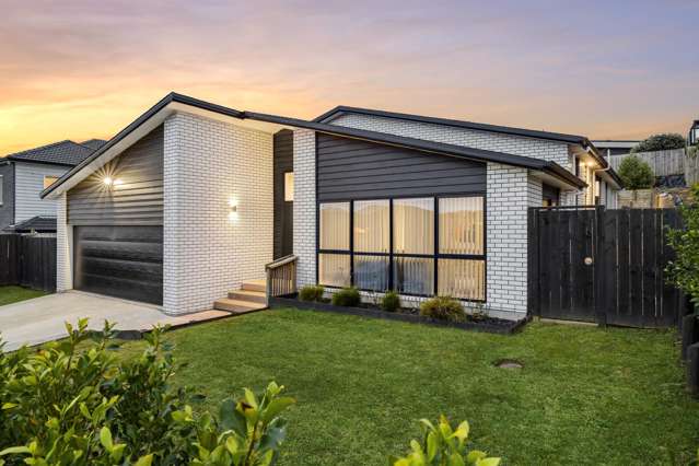 142 Lisle Farm Drive Pukekohe_2