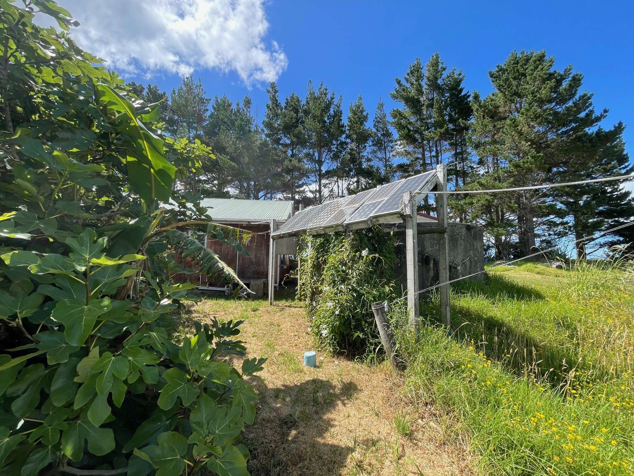 62 Scarrott Road Te Kopuru Kaipara Rural Property For Sale One Roof