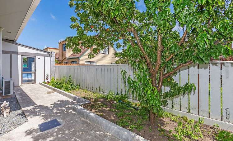 49a Park Road Miramar_19