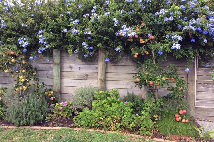 7 Beckett Lane Raumati Beach_31