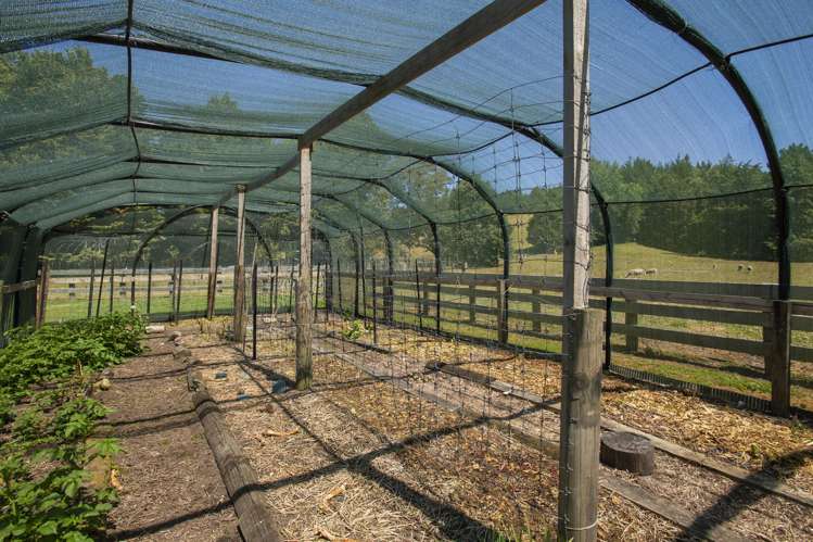 909A Wharekopae Road Ngatapa_20