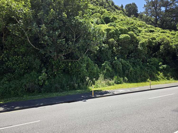 8 Pito-One Road Korokoro_6