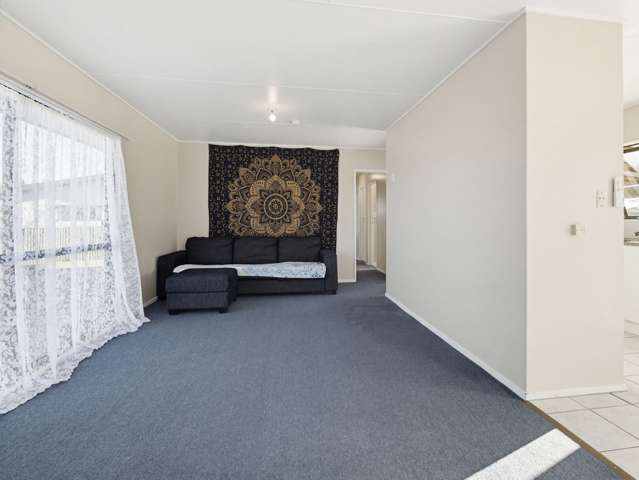 66 Tarbet Street Flaxmere_4