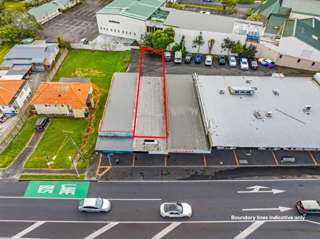1017A Dominion Road Mt Roskill_2