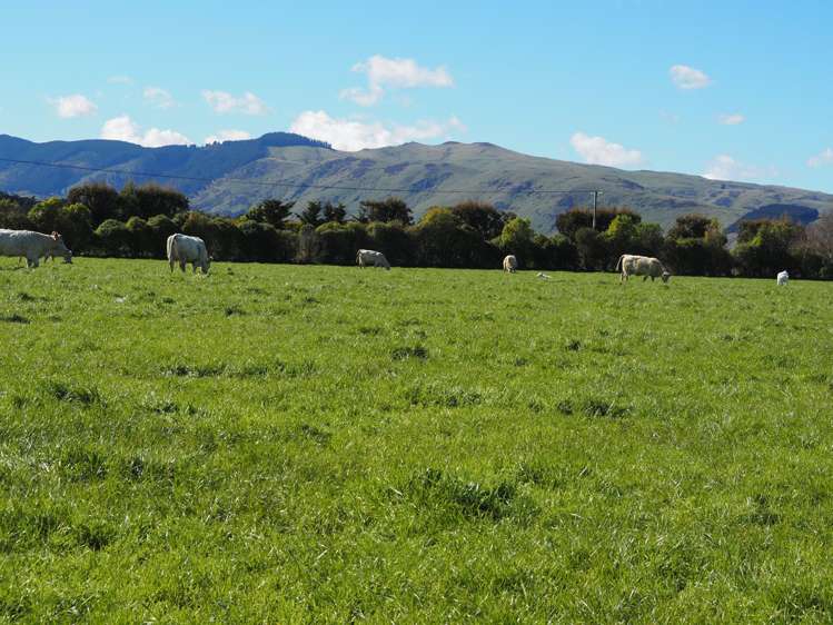 Lot Lot 3/606 Ridge Road Tai Tapu_10