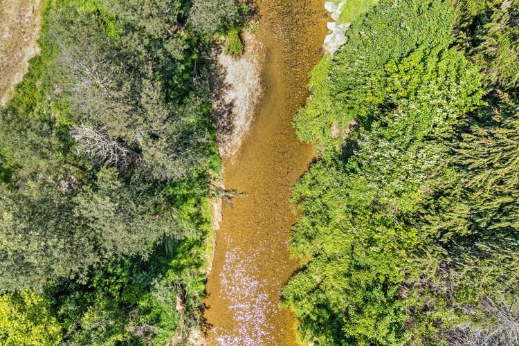 388 Main Road Lower Moutere_9