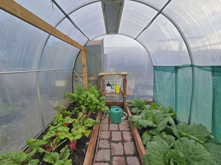 4 West Drive Hokitika_19