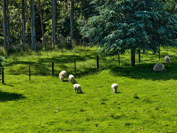 92 Kaitawa Road Te Horo_37