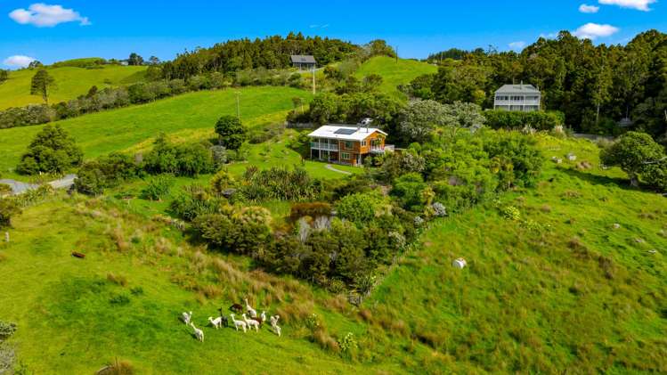 87 M Greenwood Road Leigh_29