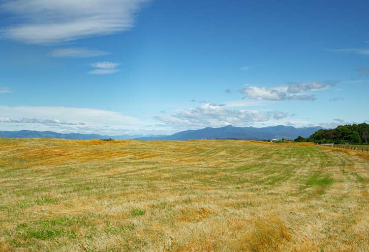 1060 Collingwood-Puponga Main Road Kahurangi National Park_9