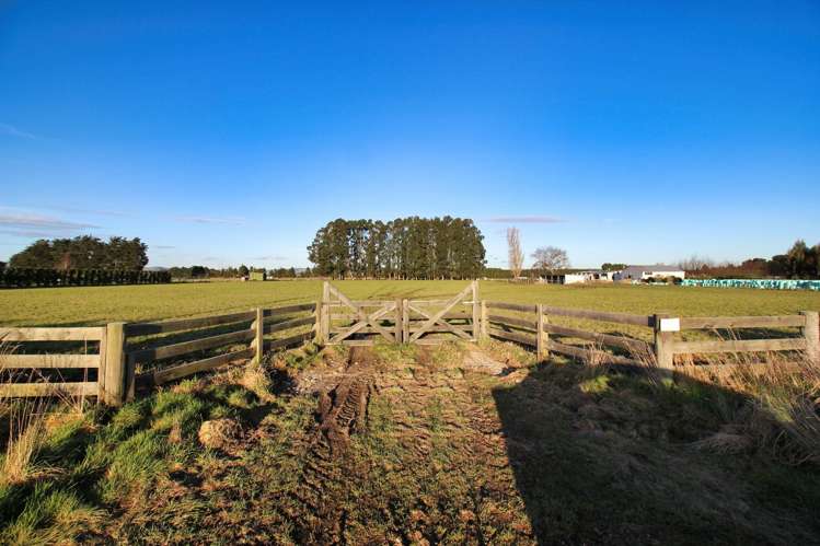 101 George Street Edendale_5