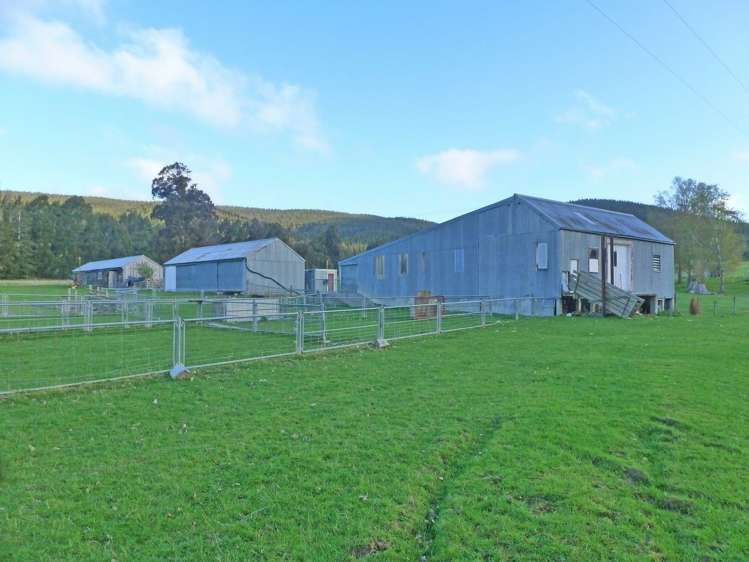 852 Waihola Highway Milton_5