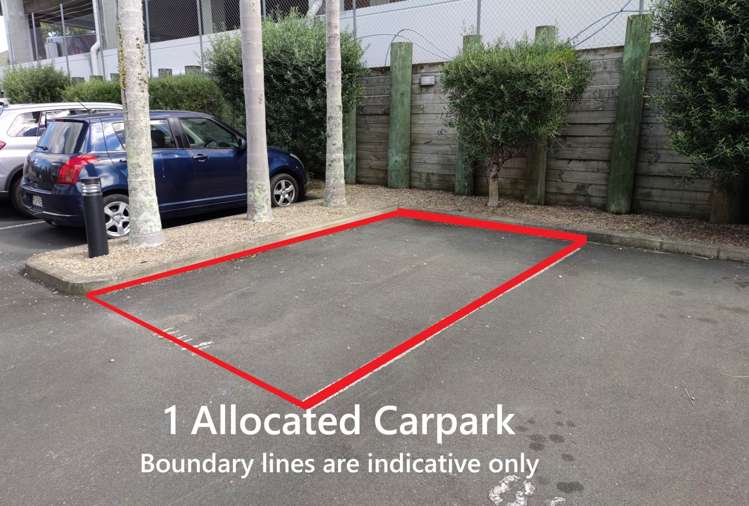 88a Michael Jones Drive Flat Bush_7