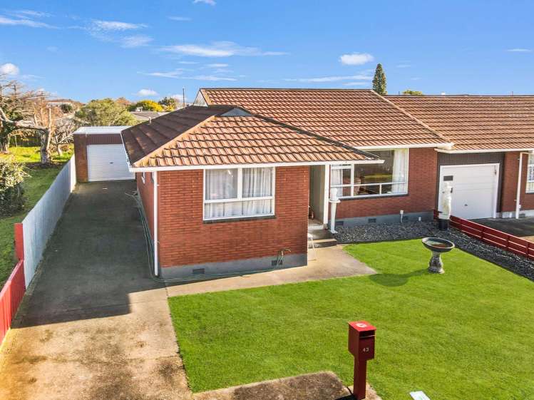 43 Rugby Street Levin_19