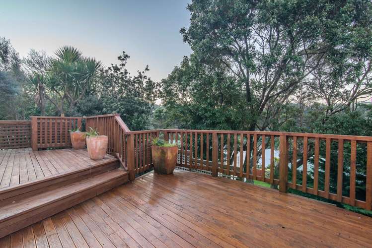 34 Mortimer Terrace Aro Valley_10