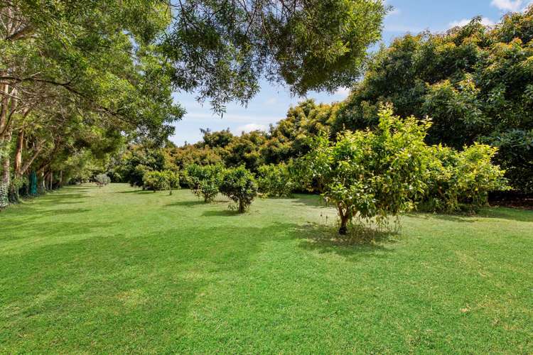 59 Riverbank Road Okoia_6