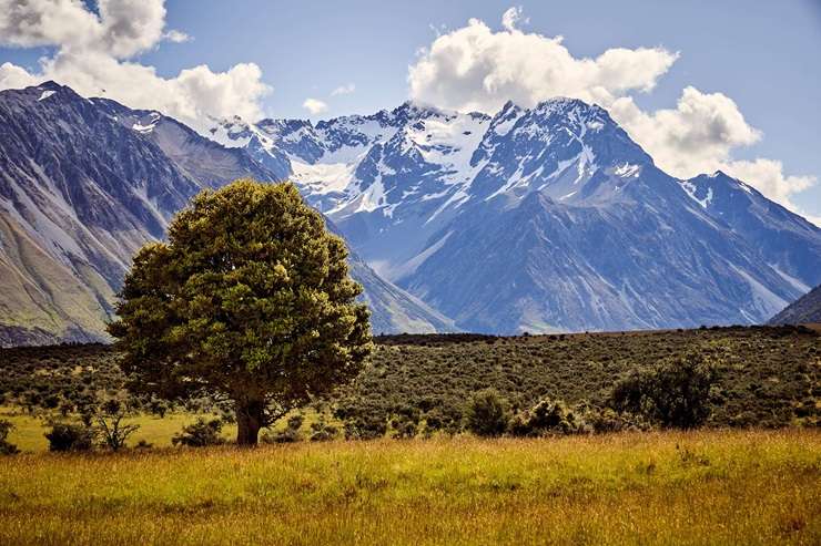 The Southern Farm Collection of Lone Star Farms, in Otago, is one of the biggest land offerings on the open market in New Zealand. Photo / Supplied