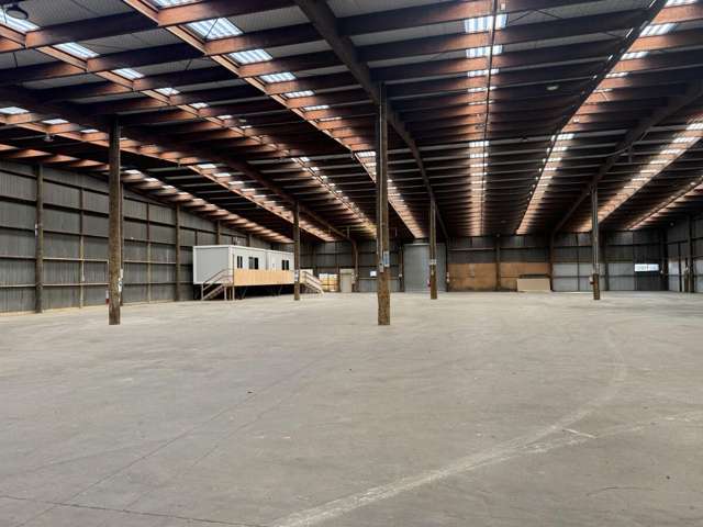 156E Main Road Kumeu_3