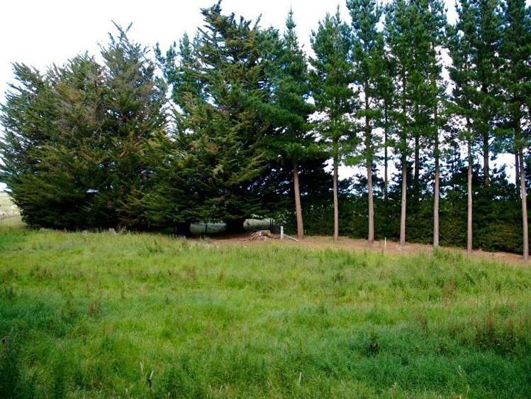 252 Tokarahi-Duntroon Road Five Forks and Surrounds_18