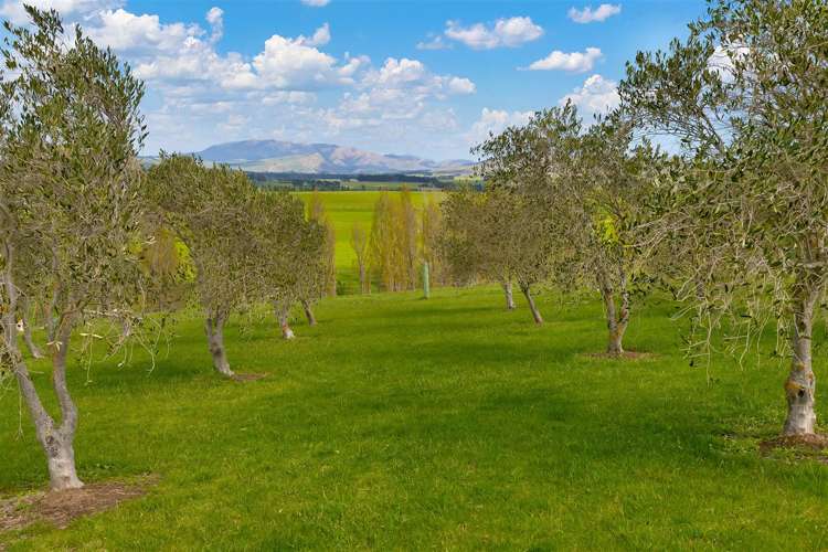 329 Mackenzies Road Waipara_23