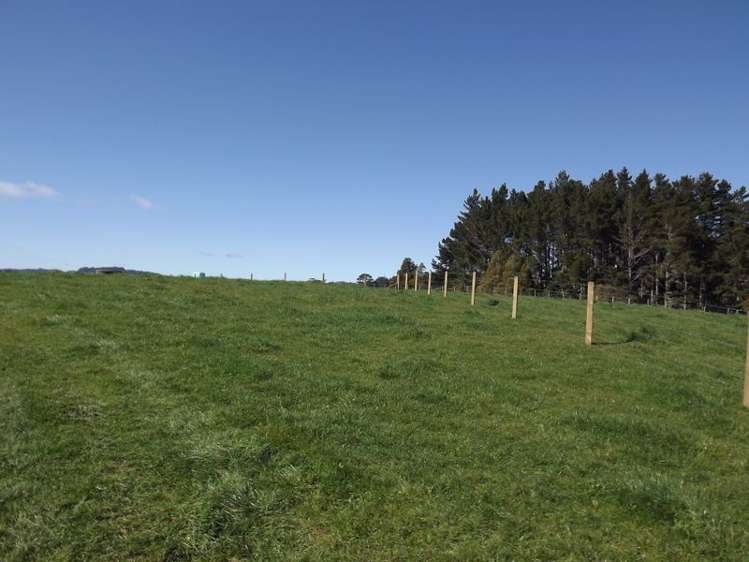 9 Mangakino Road Raglan_6