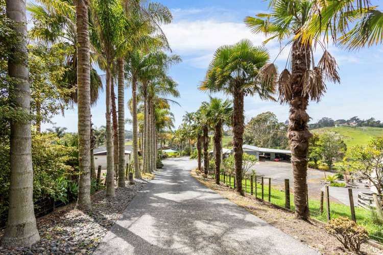 70b Coulter Road Henderson Valley_2