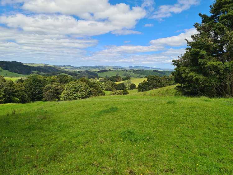 338 Wairere Road Paparoa_6