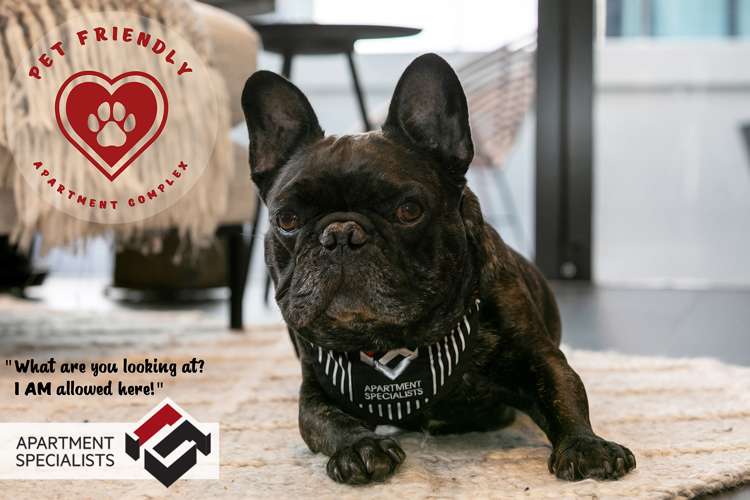 75 Victoria Street Onehunga_19