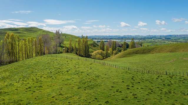 Lot 1,/139 Waiou Road Waipukurau_3