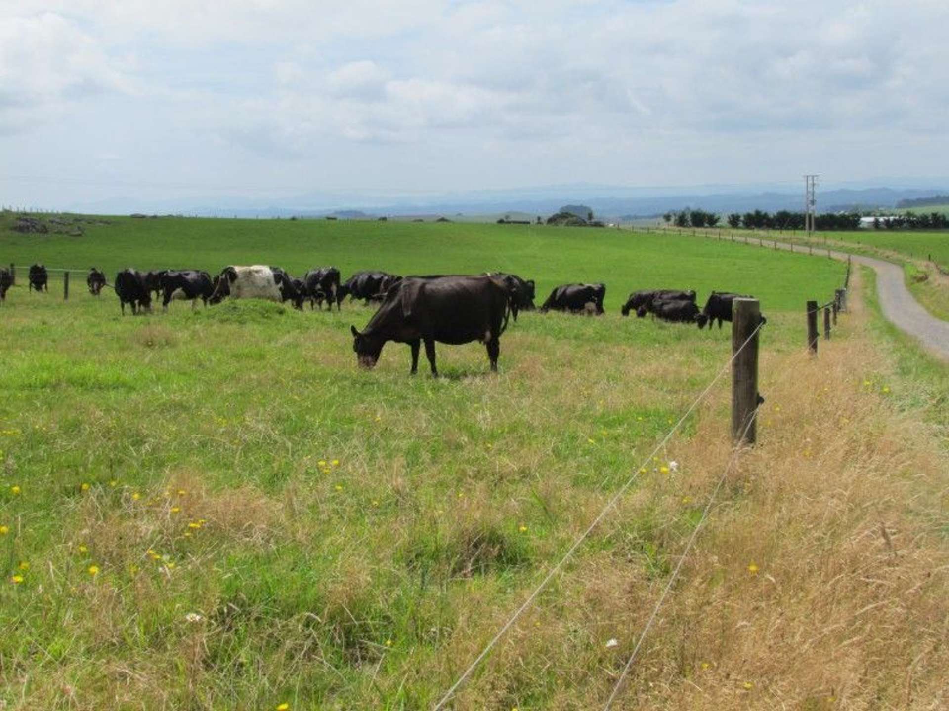 1726 Waiare Road Okaihau_0