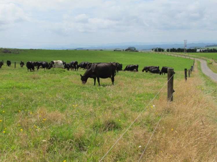 1726 Waiare Road Okaihau_0