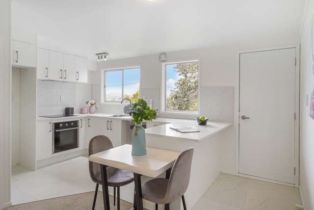 3/66 Astley Avenue New Lynn_4