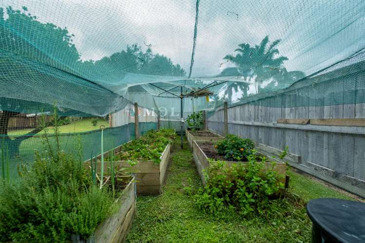 17 Fitzgerald Road Pukenui_29