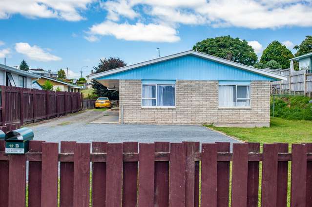 12 Harpers Avenue Otorohanga_1