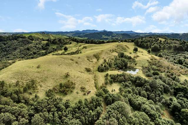 897 Bull Road Waiotira_2